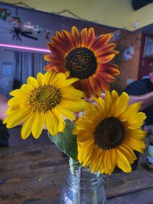 On my spare time, I grow sunflowers!