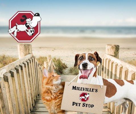 Millville's Pet Stop