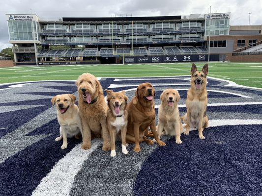 Dogtown storms the ODU Football Field!