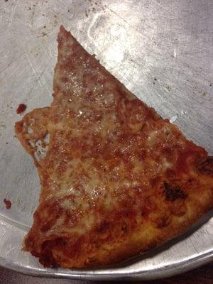 Plain thin crust pizza