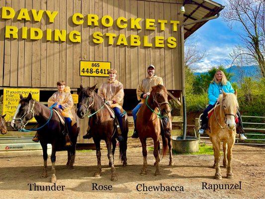 Davy Crockett Riding Stables