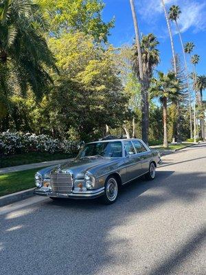 1969 Mercedes Outlook after wash & waxing