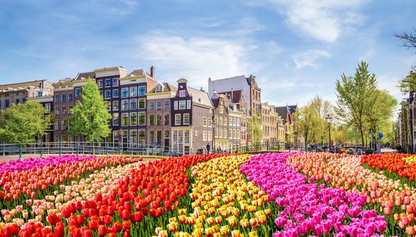 Amsterdam - you have to go in the spring when the Tulips are blooming.