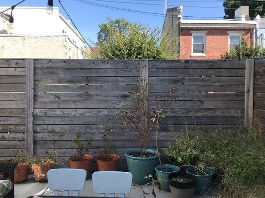 A picture of a clients pots before they were replaced with fresh plants.