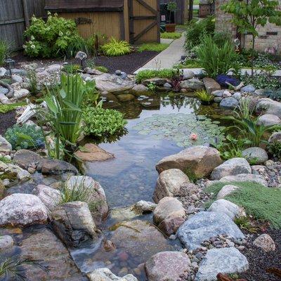 Grass Roots Pond & Garden