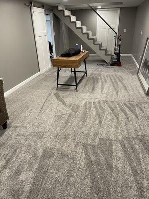 Carpet Cleaning