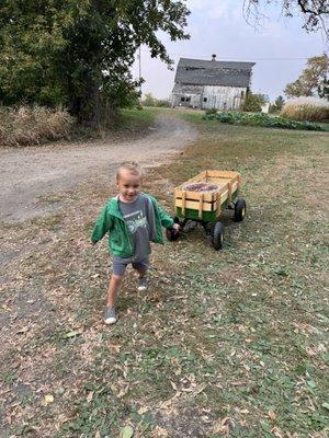 Webber's Apple Orchard