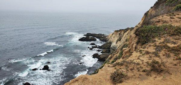 Tomales Point Trail - Tule Elk Preserve