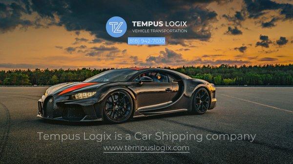 www.tempuslogix.com
 (818) 942-7030