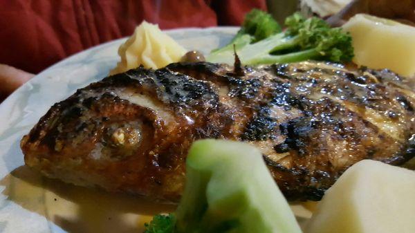 Broiled red snapper