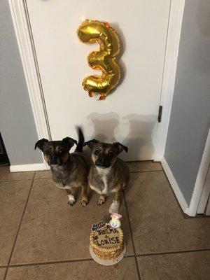 Three Dog Bakery