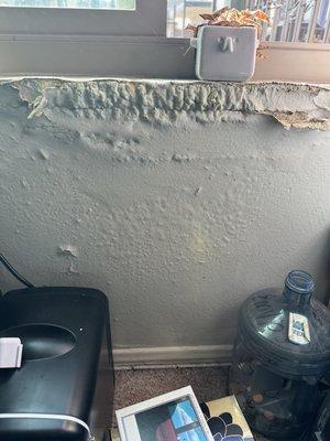 Mold problem and they won't fix it