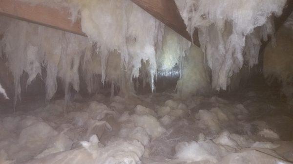 This was moisture job done recently. The owner had no idea how severe his crawlspace was until we did a free inspection!