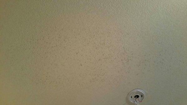 Mold in the ceiling