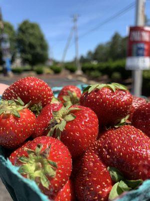 Gene's Farm and Garden Center