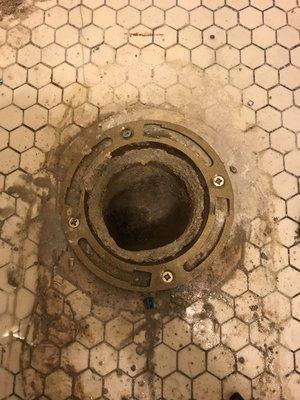 Fixed toilet flange