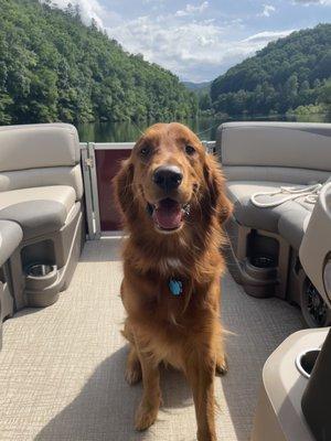 Pontoon boat on Lake Fontana with @redfurd_thegoldenretriever