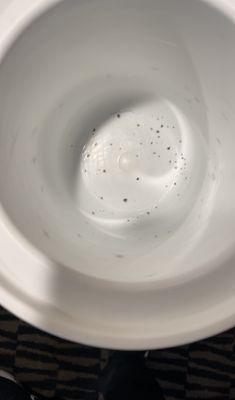 Mold in ice buckets