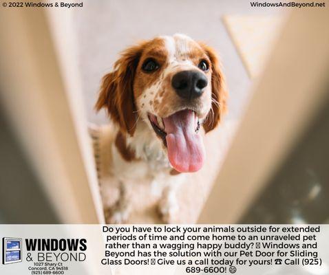 Concord's trusted pet door provider! #door #replacement #window #installation #service #showroom #kitchen #remodeling