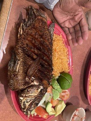 fried whole tilapia