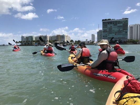 Kayak Rentals and Paddle Tours