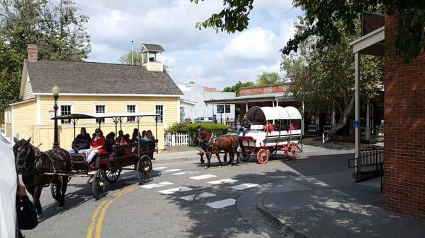 Frontier Covered Wagon Rides from Top Hand Ranch