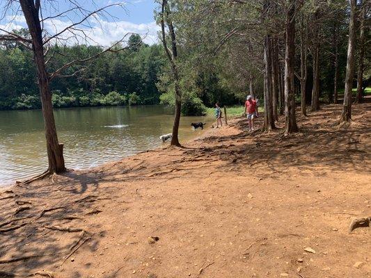 The dog beach and lake