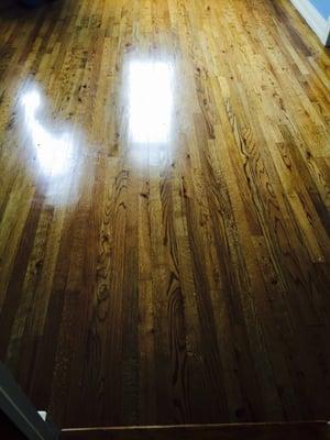 Hardwood flooring installed, colorized and sealed.