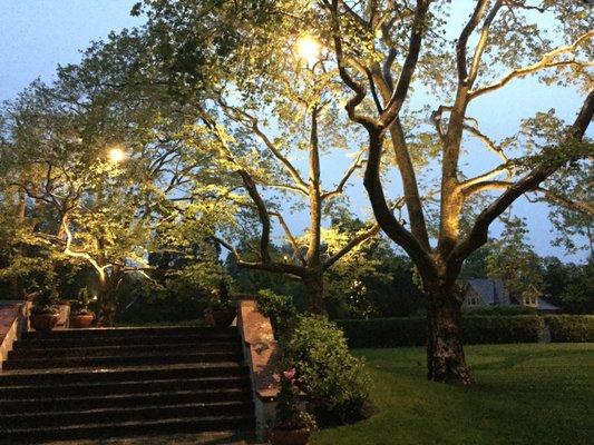 Landscape Lighting