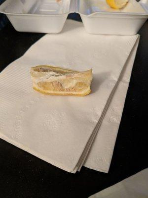 Saddest looking lemon wedge I've ever seen in my life. Didn't even bother trying to serve us something a little more presentable. Disgusted.