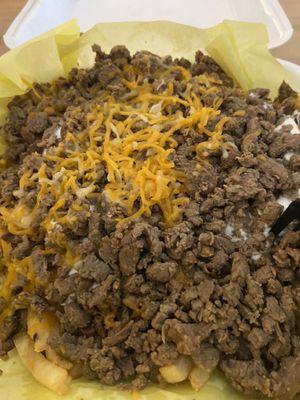 Carne asada fries