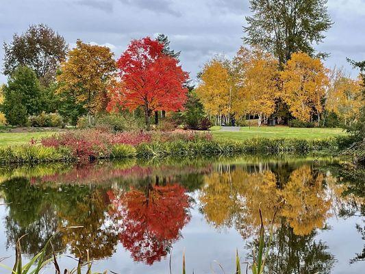 Fall at the park