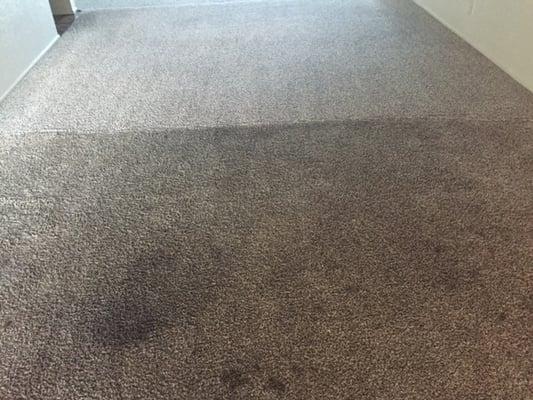 Carpet clean test before and after