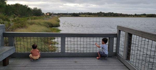 Gate sage for kiddos at lake (assuming they don't climb)