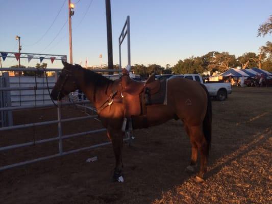 Waller County Fair Association