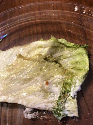 Rotten lettuce on sandwich. Where's the health department???