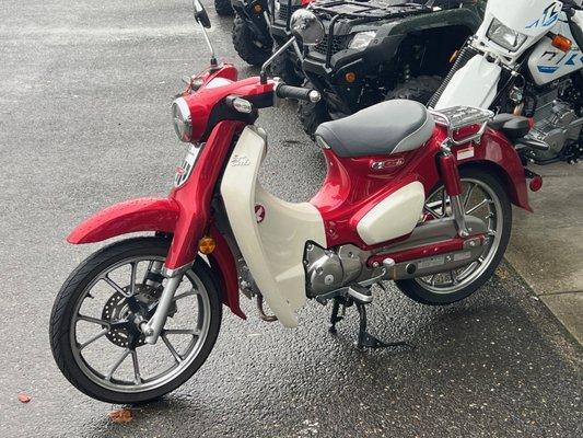 My partner's new to her 2021 Honda Super Cub 125!