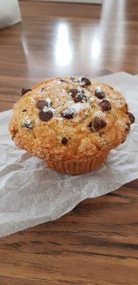 Chocolate chip muffin