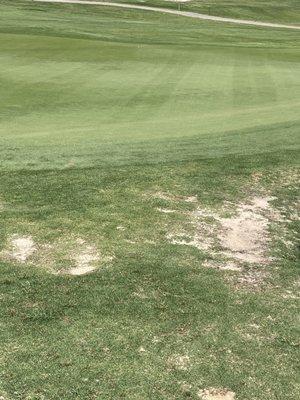 hard pan areas near the greens