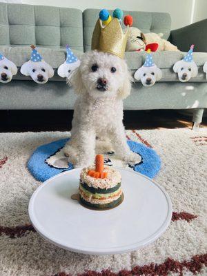 Boo's 14th birthday