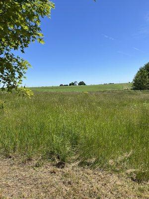 View from the tent sites.