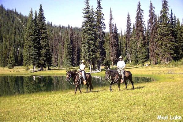 Relax on trail wise horses.