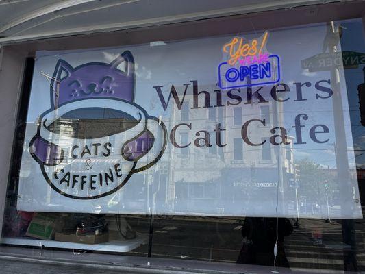 Whiskers Cat Cafe