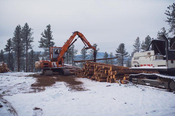 Stacking saw logs for our logging truck to haul off.