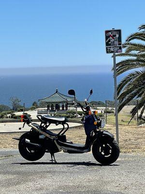 Such a beautiful day for a ride get out and enjoy it thank you Tim 2022 Honda ruckus