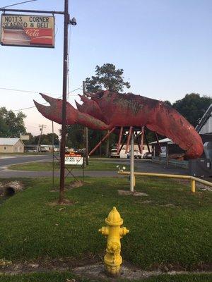 Love the giant crawfish outside the restaurant! Can't miss this place.