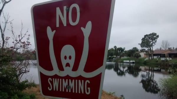 Edvard Munch says no swimming.