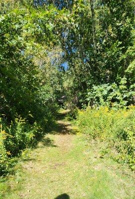 path to the tower -part is mown grass, part is rocky dirt