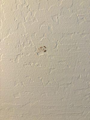 Dried blood all over the walls