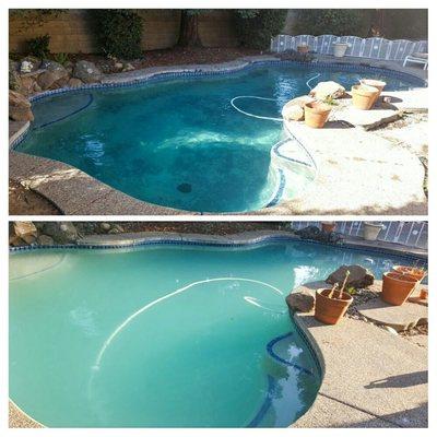 The bottom photo is before I started servicing this clients Pool. 

The top photo is now what it looks like.